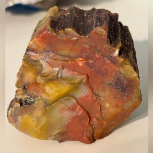 🌳 Petrified Wood Jasper – Red & Yellow Fossilized Wood Slab/Chunk 300g